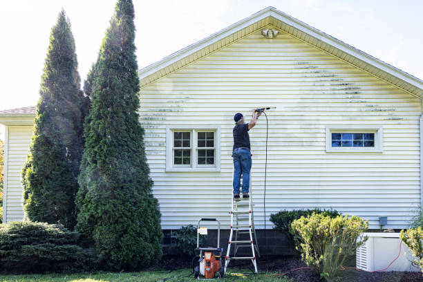 Best Sign and Awning Cleaning  in Woodward, IA