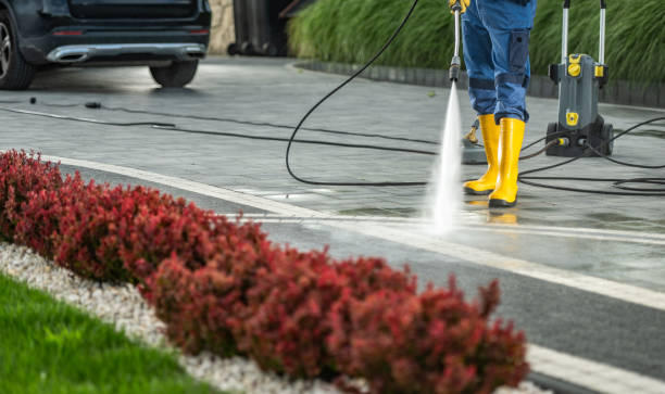 Best Soft Washing  in Woodward, IA